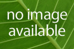 绍伊古：俄已完成“佩雷斯维特”激光武器系统的部署