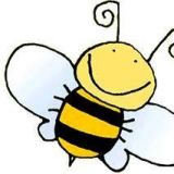 HoneyBug